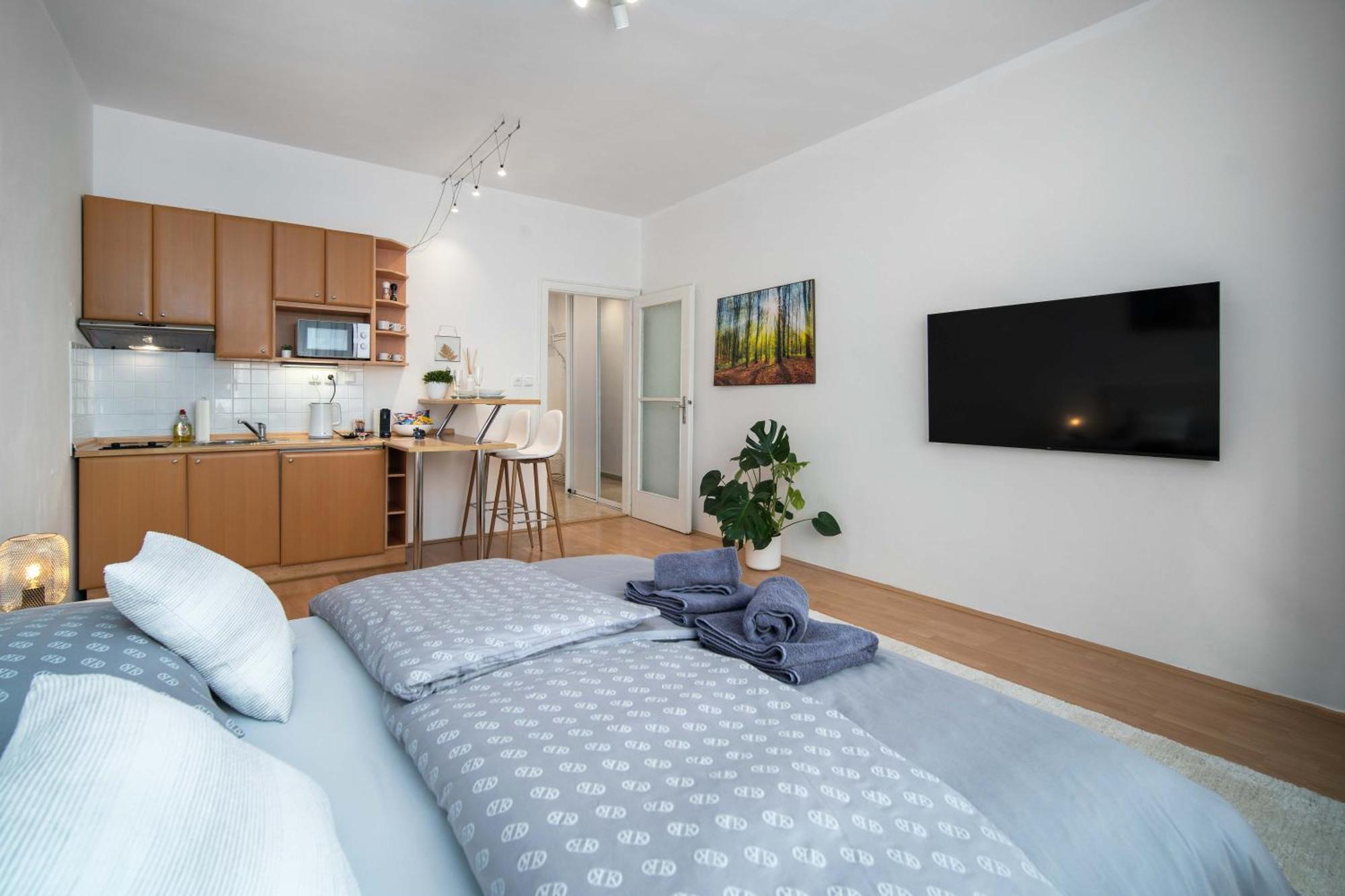 Best Location Apartment Air-Conditioned Pressburg Exterior foto